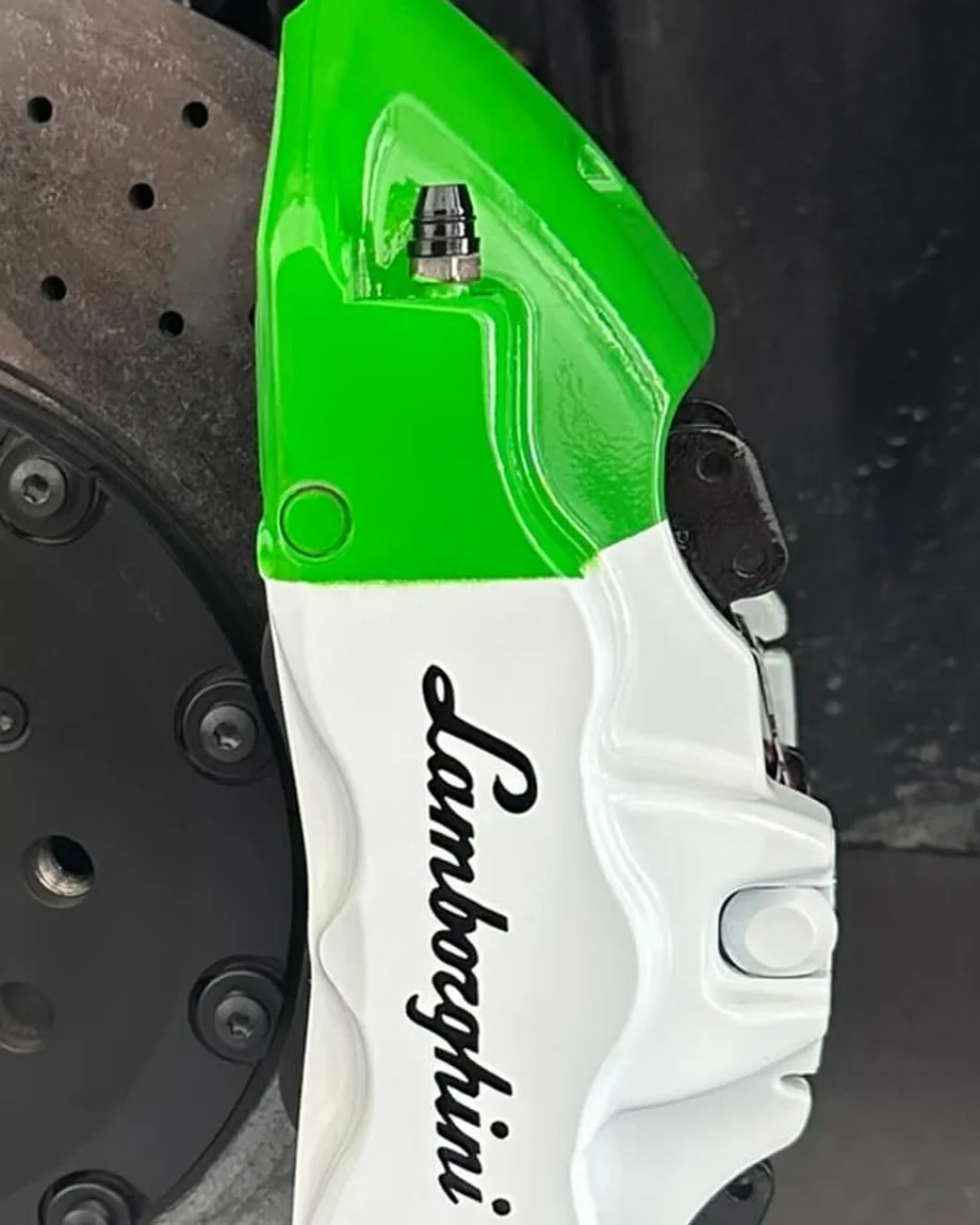 Lamborghini caliper finished in green, white and red
